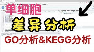 单细胞差异分析实操分享