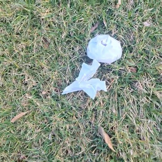 UFO vs. my 1st version of Jayson Merrill's F-22 test flight tie breaker video