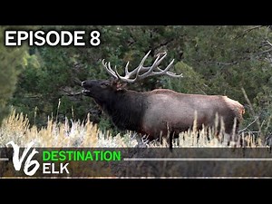 A Lucky Horseshoe - Episode 8 (Destination Elk V6)