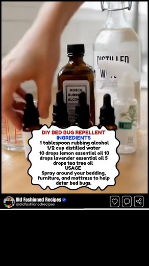 5.5K views · 20 reactions | Want a simple way to keep bed bugs at bay—using nothing but everyday ingredients? This powerful DIY spray combines essential oils, rubbing alcohol, and water to create a clean, natural barrier that helps deter pests before they ever become a problem. #homeremedy #EcoFriendlyLiving #diycleaning #naturalsolutions #pestprevention | Old fashioned recipes | Facebook