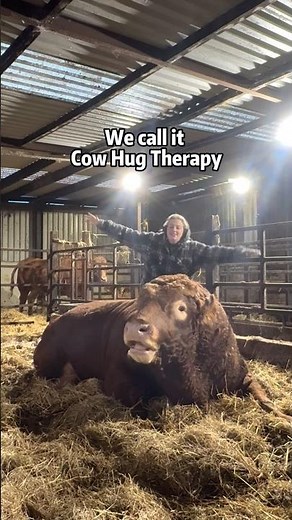 This is why we call it Cow Hug Therapy#cow#hug#companion#fyp#foryou