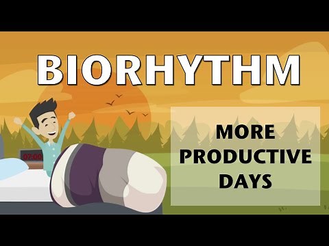 Biorhythm for more productive days