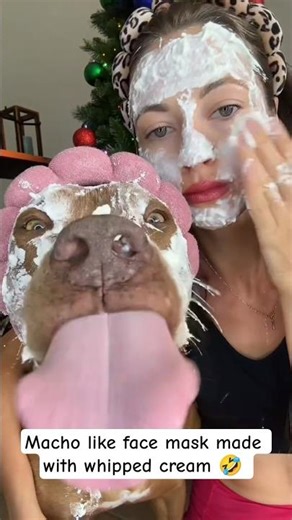 Macho like face mask made with whipped cream #macho #facemask #dogface