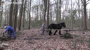 2.5K views · 41 reactions | Experimental setup of a horse powered wood splitter. First test. The conclusion is that a couple of draft horses or at least one very strong horse is required. | Horse Grapevine | Facebook
