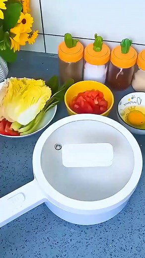 Electric Cooker. | Online Window Shopping