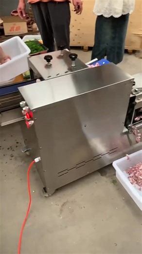 Beef Cutting Machine Meat Slicer Strip Cutter Fresh Beef Jerky Slicer Pork Meat Slicing Machine | Eng 2