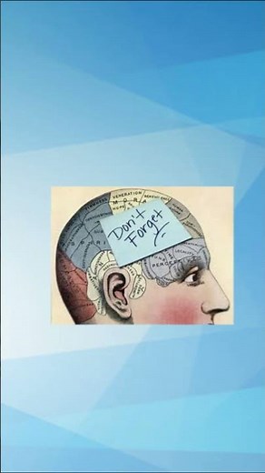 What Are Cookies in Web? Explained Simply