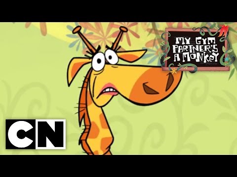 My Gym Partner's a Monkey - Save the Drama for Your Llama