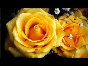DOLLY PARTON - YELLOW ROSES.wmv