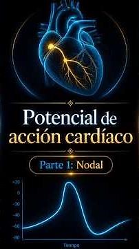 Potencial de Acción Cardiaco: Nodal