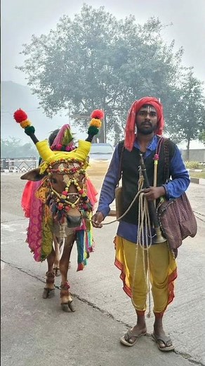 Nenu attiga pothalenu