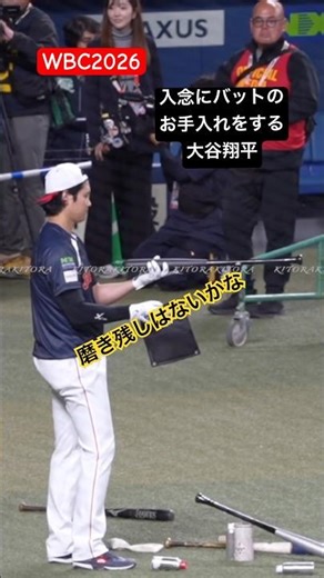 【WBC2026】バットを磨く大谷翔平(現地映像)