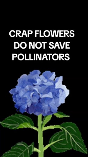 extinction (@wildlifeplanettoo)’s videos with original sound - ghost