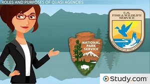 Quasi-Government Agency | Definition, Function & Examples