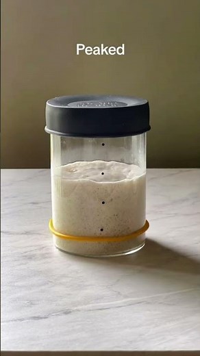 Sourdough Bread 101- The 5 Stages of Sourdough Starter