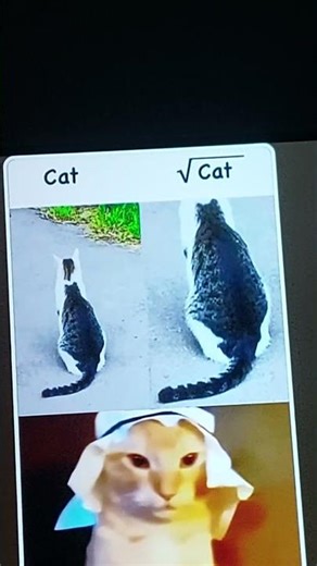 8 лютого 2026 р.