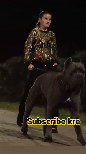 #*indian monster dog*monster dog shorts*dog shor video*dog sort video*dog viral video*Funny shorts*