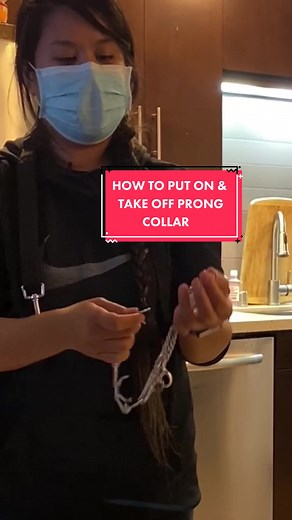 How to Put On and Take Off a Prong Collar for Dog Training