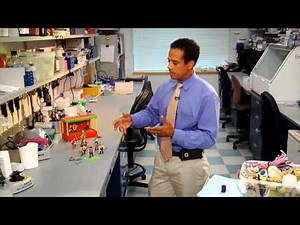 Battling Cancer Using Epigenetics | Science: Out of the Box