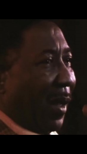 Discover Muddy Waters' Iconic 'Manish Boy' Performance