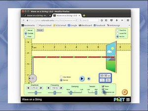 Wave on a String: Simulation