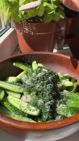 Fast & Flavorful: Quick Fermented Cucumbers You’ll Love