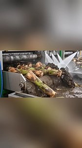 Inside a High-Tech Banana Stem Factory You’ve Never Seen Before | Tech Vision