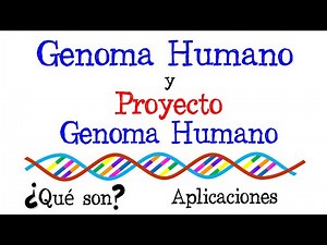 💉The Human Genome and the Human Genome Project | Examples and Applications👨 [Easy and Fast] | BIO...