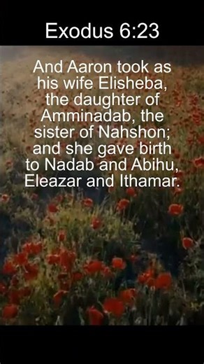 Êxodo 6:23 | Bíblia em Português e Inglês | Velocidade de fala em inglês mais lenta