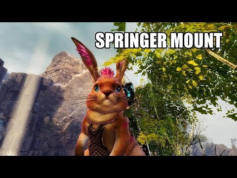 Guild Wars 2 How to Get Springer Mount