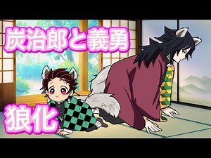 Tanjiro and Giyu turn into wolves and are taken care of by the three Kocho sisters...!? That's cute!