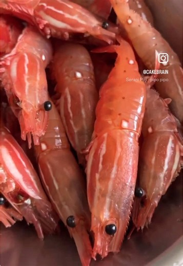 Spot Prawn Season: Delicious Cooking Methods