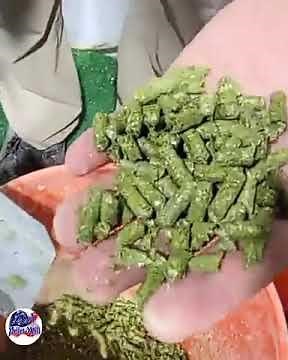 Making alfalfa pellets with 120b Great Home Use Pellet Mill