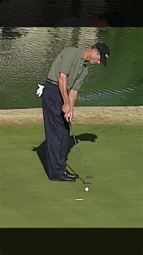 Unbelievable Golf Shots You Have to See