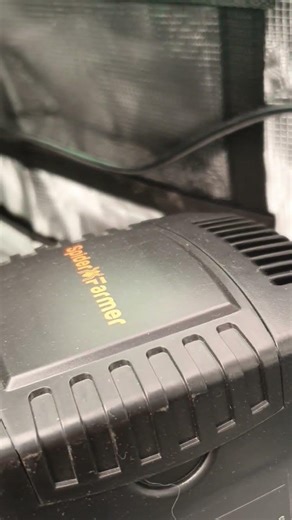 Bella Rose ist eingezogen! 🌸 DWC Setup mit Spider Farmer G5000 & CannaZen 💧