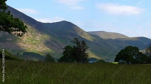 Lake District scenery on spring or summer day. Grass culms or stems swinging in a wind in meadow, Crummock Water lake seen in background