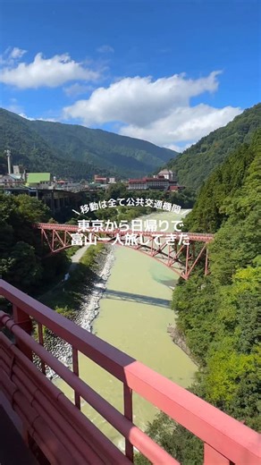 いね on Instagram: "東京から遠いイメージの富山県だけど意外と日帰り可能です。 今回は富山県黒部市と魚津市を旅してきました。念願の黒部峡谷鉄道は「ほんとに日本なのか！？」っていう景色がずっと続いてて感動だらけでした。 魚津水族館は結構ガラガラで一人旅に最適でした🐟 みんなは新幹線で片道2時間は日帰り派？それとも宿泊派？ #一人旅 #黒部峡谷トロッコ電車 #富山 #富山旅行 #Vlog #日帰り旅行"
