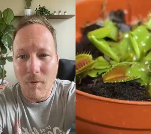 1.1M views · 15K reactions | #duo avec @bricocrafter Des astuces pour des plantes gratuites ! 隸‍♂️華 #plantman #plant | Camille Miriam | Facebook