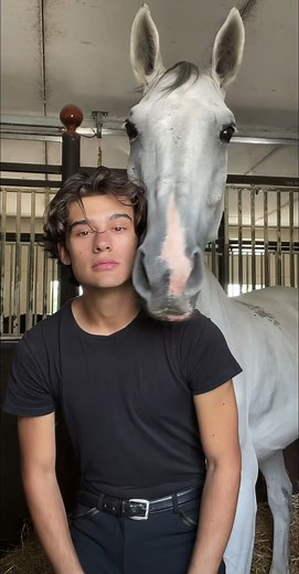 I am for real ;) #horse#equestrian#horseboy | horse riding