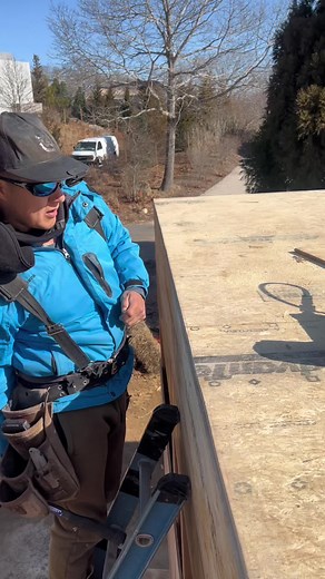 #fypシ #construction #parati #maestro #tips