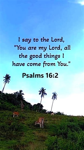 12K views · 1.5K reactions | Thank you Lord Jesus Christ, for all the blessings  | Daily Prayers and Bible Verses | Facebook