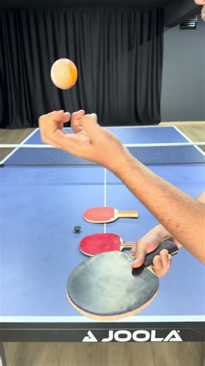 €1 vs €404 Ping Pong Racket 🏓
