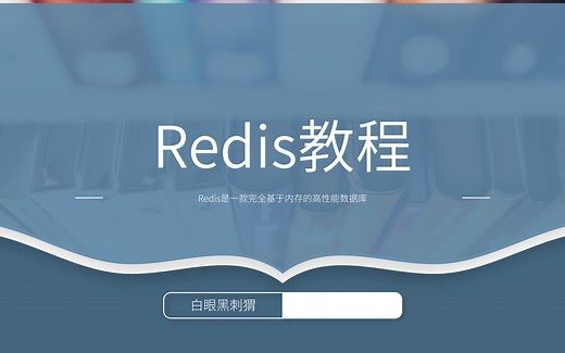 2022最新最全redis视频教程(绝密课程)