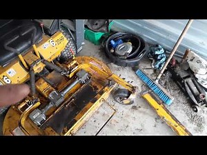 Finally bought a used Walker Mower