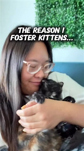 Pure love 🖤❤️ FYI 😘 I just uploaded a YouTube video about the lost kitty 🐈‍⬛ I found last week! Go check it out! https://youtu.be/DBB_C5xl1M8 | Wasabi.Sushi.Matcha