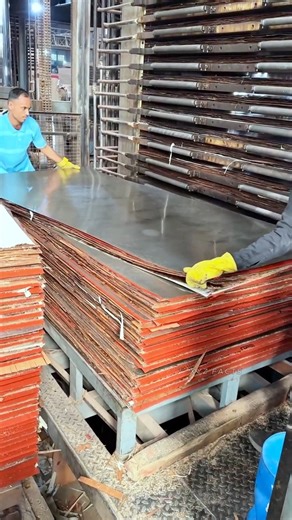 How Plywood Is Really Made in Factories ?