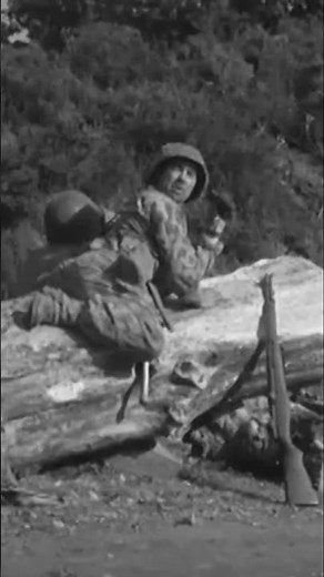 The Fight for Normandy 1944 #history #normandy #ww2