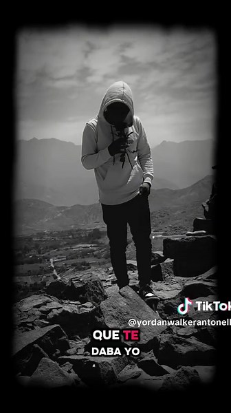 Exploring Alan Walker's Unique Style in Amor Genuino