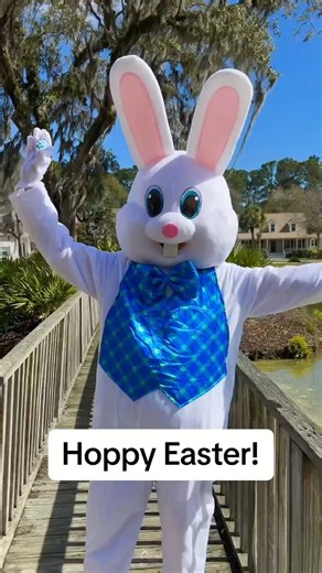 Hoppy Easter from the Easter Bunny! 🐰🌷 Let's spread some holiday joy together! #easterbunnycostume #eastercostume #happyeastereveryone #happyeastereverybody #happyeasterday | HalloweenCostumes.com
