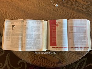 The New Life Application Study Bible Review (NIV)